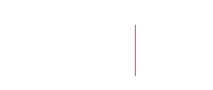DSG logo white red line